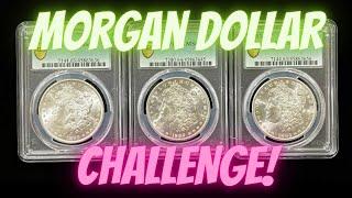 Morgan Silver Dollar Challenge. Can I get an MS65? Grading my Coin Collection