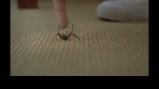 [meme] RULES OF NATURE