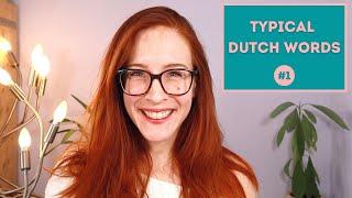 TALK like the DUTCH! Learn how to use: gewoon, nou, lekker, leuk, maar & even (NT2 - A2/B1)