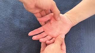 Trigger Point Therapy Technique - Palm