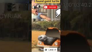 Gaint turtle  #map #googleearth #ss #funny #mystery #shorts #shortsfeeds# weird#creepy