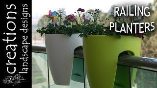 Planting Herbs In My Greenbo Railing Planters