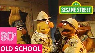 Sesame Street: Bert and Ernie in a Pyramid