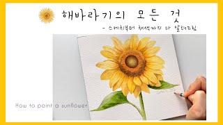 [ENG] 해바라기 수채화 | 스케치부터 채색까지 상세한 설명| How to paint a sunflower