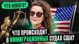 Иммиграционный суд в США. Что изменили? Переезд в США в 2023 году. Иммиграция в Америку