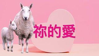 【祢的愛】粵語詩歌 Your Love (Cantonese hymn with lyrics) #基督教詩歌精選