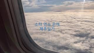 [ 여행 ] 연수 은애와 함께한 제주도 2박 3일️, 본태박물관, 칠돈가, 수두리보말칼국수, 벼리게스트하우스, 하얏트리젠시, 네거리식당