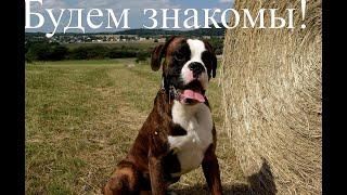 Будем знакомы! 7 честных ответов/Знакомство с подписчиками и гостями/Эстафета "Вопросы и ответы"