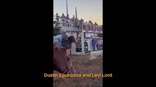 Team Roping Dustin Egusquiza and Levi Lord #teamroping #teamroping