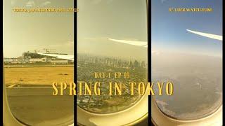 First Time Flying with ZIPAIR! ️ | Tokyo Adventures! | Day 1 Ep 19 [March 2024]