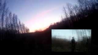 Охота на Вальдшнепа / hunting woodcock