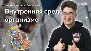 ВНУТРЕННЯЯ СРЕДА ОРГАНИЗМА | КРОВЬ, ЛИМФА, ТКАНЕВАЯ ЖИДКОСТЬ | ЕГЭ 2024