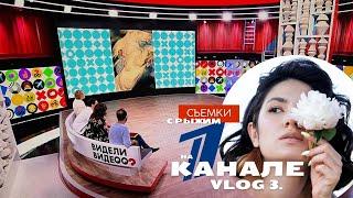 VLOG 3 • съемки на 1 Канале • рыжий кот в Останкино | закулисье программы Видели Видео
