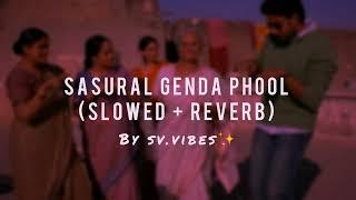 sasural genda phool l Slowed Reverb l Delhi-06 l Abhishek Bachchan l Sonam Kapoor