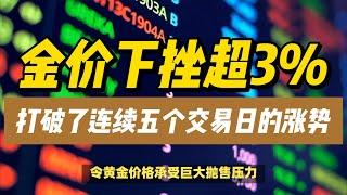 (26/11/2024)金价下挫超3%，打破了连续五个交易日的涨势 | #黄金 #原油 #美元指数 #美元 #金价