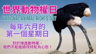 2023.06.04 世界動物權日：每年六月的第一個星期日 (National Animal Rights Day) #動物權 #環保 #純素