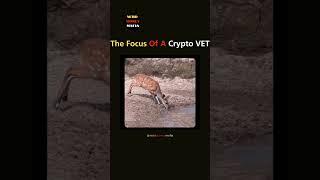 The Focus Of A Crypto Vet  #nerdmoneymafia #cryptonews #cryptohumor