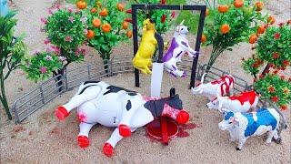 Proses Potong Sapi Qurban !! Wadidaw Proses Cow Cartoon