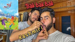 Speaking Kashmiri for 24 hours  Boring #vlog