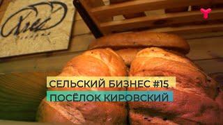 Сельский бизнес #15. Посёлок Кировский