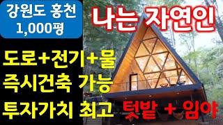 강원도 홍천 나는 자연인 전원주택 투자가치 3박자 갖춘 텃밭+임야 1000평 매매