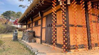 게바아빠 상주곶감, korean traditional dried persimmon, корейская традиционная сушеная хурма, 韓国の伝統的な干し柿