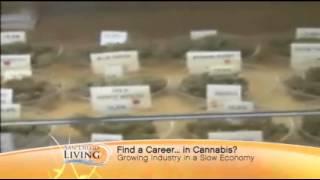 Cannabis Career Institute: San Diego Living Interview with Bob Calkin