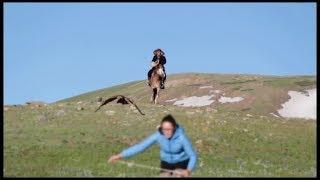 Golden eagle attacking woman in Mongolia