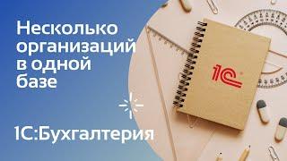 Несколько организаций в одной базе | 1С:Бухгалтерия