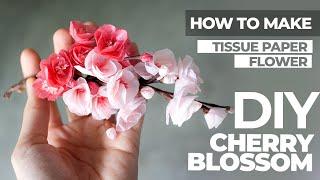 How To Make Cherry Blossom Paper Flower - Tissue Paper Flower - AMY DIY CRAFT