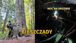 The Tallest Trees in the Bieszczady Mountains / BUSHCRAFT