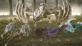 The Legendary Battle Royale of ALL DRAGONS - Elden Ring