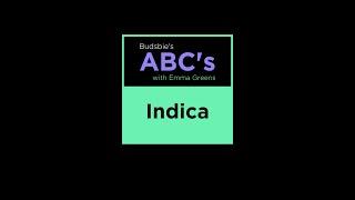 What Does INDICA Mean? Budsbie’s ABC’s with Emma Greens