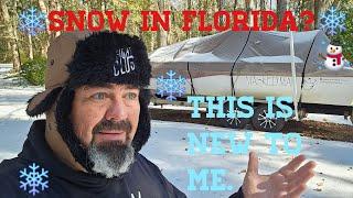 Snow in Florida?!#floridaweather #snow ##Florida #usa #ice #dog