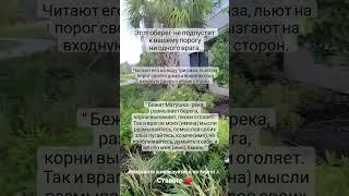 Защита от врагов #lanamagic #tarot #магия #ритуалы #эзотерика #защита