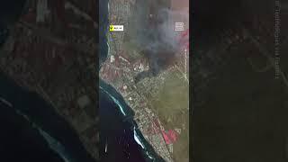 Before and After Satellite Footage of Maui Fires