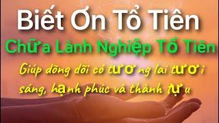 BIẾT ƠN TỔ TIÊN - Chữa Lành Nghiệp Tổ Tiên - Giúp Dòng Dõi Có Tương Lai Tươi Sáng , Hạnh Phúc