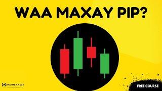 CASHARKA 1AAD: Waa Maxay Pip? | Aasaaska Suuqa Forex