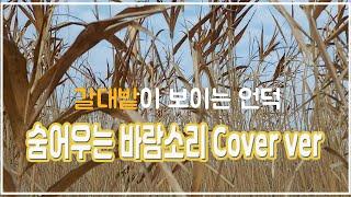 숨어우는 바람소리 Cover by 구무이tv #song #노래 #숨어우는바람소리 #이정옥