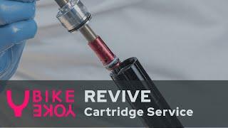 BikeYoke REVIVE - full cartridge rebuild (read description)