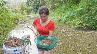 Catch A Lot Of Shrimp In The Stream Go To Market Sell - Raise Chicken & Pigs | My Bushcraft / Nhất