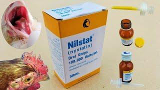 Nystatin for Chickens | Nilstat Drops | Fungal infection Treatment in Poultry | Dr. ARSHAD