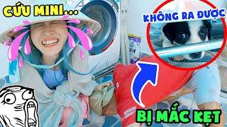 Giải Cứu Cún Mini Bị Mắc Kẹt | Biệt Đội Lầy Lội - Vê Vê Channel