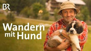 Was beachten und wie vorbereiten beim Wandern mit Hunden? | Berge | Doku | BR