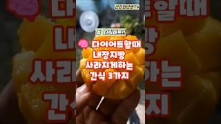 다이어트할때 내장지방 사라지게하는 간식 3가지#shorts #건강 #건강정보