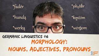 GERMANIC LINGUISTICS #6 - MORPHOLOGY: NOUNS, ADJECTIVES, PRONOUNS