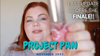 Project Pan 2022 | Update 10 | November | Last Update Before the FINALE!