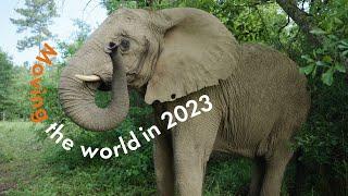 Your 2023 achievements for animals  World Animal Protection