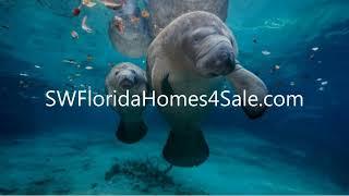 Top Real Estate Agents   Real Estate Agent Naples FL   Fort Myers FL