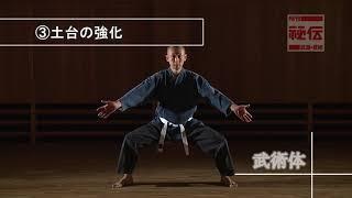 深井信悟【実感できる丹田の作り方】How to create & develop Tanden in Bujutsu